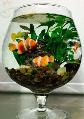 Аквариум (Неман)  3,5л бокал 2231/6205 фото Аквариум (Неман)  3,5л бокал 2231/6205 фото