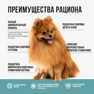 Bowl Wow 5кг индейка с рисом и розмарином сухой для собак мелких пород (660453) фото