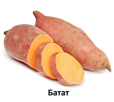  Alleva Holistic Puppy 2кг океаническая рыба, конопля, алое, сухой корм для щенков крупных пород (Р00228) фото