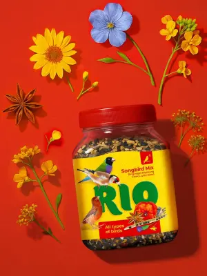 Rio 0,24кг смесь для стимулирования пения для всех видов птиц фото