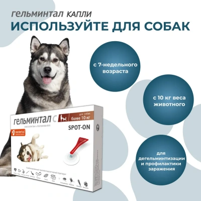 Гельминтал С Spot-on капли (1пип) на холку от блох, клещей и глистов для собак более 10кг (ЛИЦЕНЗИЯ) фото Гельминтал С Spot-on капли (1пип) на холку от блох, клещей и глистов для собак более 10кг (ЛИЦЕНЗИЯ) фото