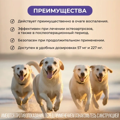Фироко 227мг для крупных собак, 8 табл. (ЛИЦЕНЗИЯ) фото Фироко 227мг для крупных собак, 8 табл. (ЛИЦЕНЗИЯ) фото