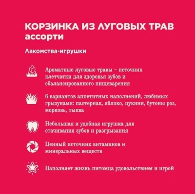 Little One 0,065кг Лакомство Корзинка из луговых трав ассорти для всех видов грызунов и кроликов.  фото Little One 0,065кг Лакомство Корзинка из луговых трав ассорти для всех видов грызунов и кроликов.  фото