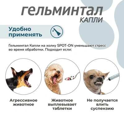 Гельминтал С Spot-on капли (1пип) на холку от блох, клещей и глистов для собак более 10кг (ЛИЦЕНЗИЯ) фото Гельминтал С Spot-on капли (1пип) на холку от блох, клещей и глистов для собак более 10кг (ЛИЦЕНЗИЯ) фото