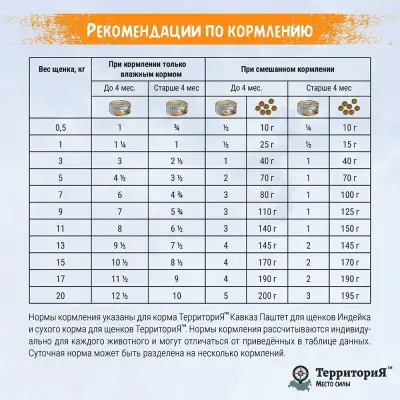 Территория Кавказ 0,1кг Паштет Индейка влажный корм для щенков фото