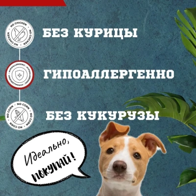 Biff 0,04кг Dent снек для чистки зубов (4 шт) со вкусом печени говяжьей для собак мелких пород фото