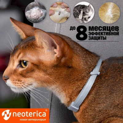 Ошейник (Rolf Club) 3D (8мес), 40см от блох, клещей, комаров для котят (серый) (ЛИЦЕНЗИЯ) фото Ошейник (Rolf Club) 3D (8мес), 40см от блох, клещей, комаров для котят (серый) (ЛИЦЕНЗИЯ) фото