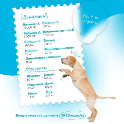 Best Dinner Dog & Puppy Sensible 12 кг ягненок с ягодами сухой корм для собак и щенков с 1 мес. фото