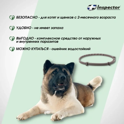 Ошейник (Inspector) (4 мес), 65см от блох, клещей и глистов для средних собак (ЛИЦЕНЗИЯ) фото Ошейник (Inspector) (4 мес), 65см от блох, клещей и глистов для средних собак (ЛИЦЕНЗИЯ) фото