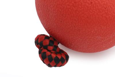 Игрушка (Wogy) Мяч d=7см литой с ручкой l=32см, для собак фото