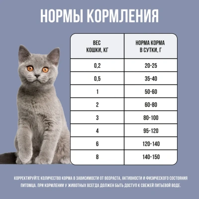 Bowl Wow 1,5кг с курицей и черникой сухой для котят (660248) фото