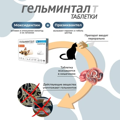 Гельминтал таблетки для кошек и котят до 4кг (26) (ЛИЦЕНЗИЯ) фото Гельминтал таблетки для кошек и котят до 4кг (26) (ЛИЦЕНЗИЯ) фото
