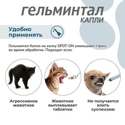 Гельминтал К Spot-on капли (1пип) на холку от блох, клещей и глистов для кошек и котят до 4кг (ЛИЦЕНЗИЯ) фото Гельминтал К Spot-on капли (1пип) на холку от блох, клещей и глистов для кошек и котят до 4кг (ЛИЦЕНЗИЯ) фото