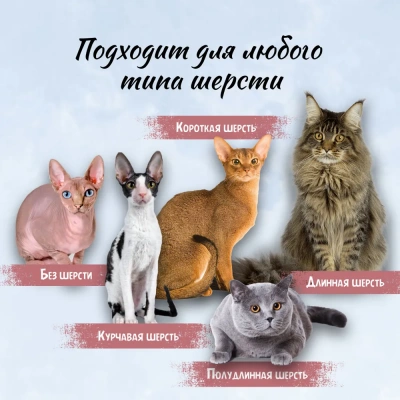 Шампунь (ТерриториЯ) Песнь Тайги питательный для кошек, 150 мл фото Шампунь (ТерриториЯ) Песнь Тайги питательный для кошек, 150 мл фото