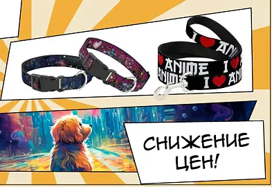 BUCKLE-DOWN: скидка 33%