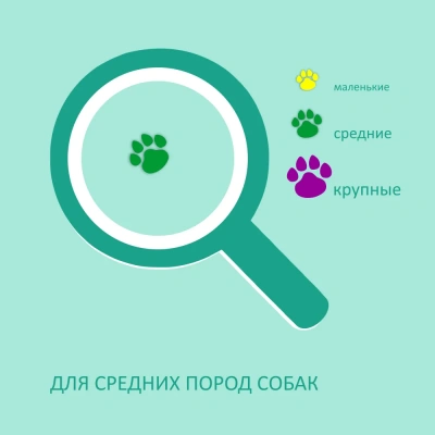 Biff 0,077кг Dent жевательный снек со вкусом телятины для собак средних пород фото