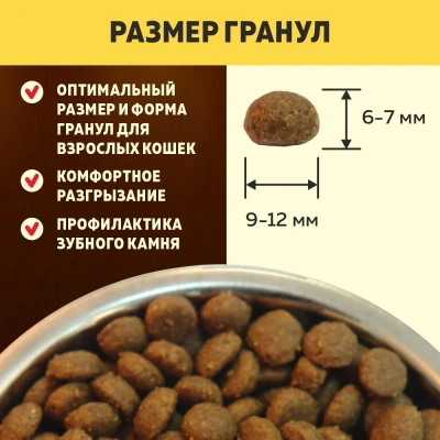 Brooksfield Adult Cat Chicken 2кг курица/рис сухой для кошек (354585) NEW фото