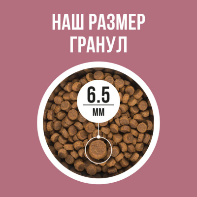 Bowl Wow 4кг с индейкой и свеклой сухой для стерилизованных кошек (660804) фото