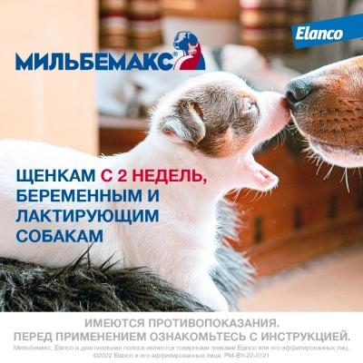 Мильбемакс (Elanco) 2таб. антигельминтик для собак более 5кг, 1таб./5-25кг (ЛИЦЕНЗИЯ) фото
