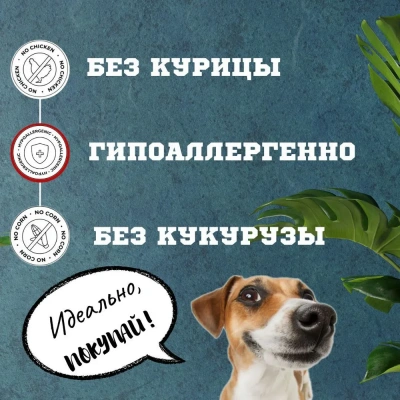 Biff 0,035кг Dent снек для чистки зубов (5 шт) со вкусом говядины для собак мелких пород фото