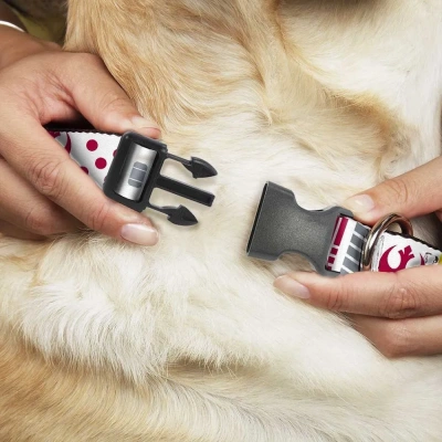 Ошейник (Buckle-Down) Звездные  войны Герб Повстанческого альянса с пластиковой застежкой 23-38см фото