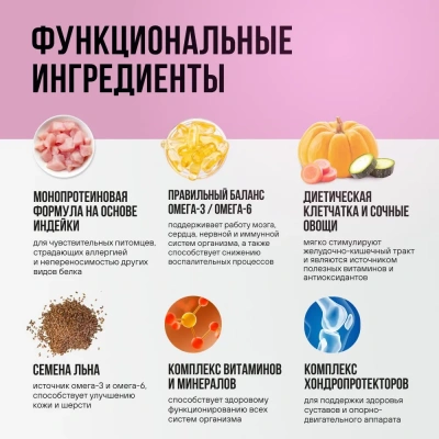 Bowl Wow 0,34кг индейка с тыквой для собак (662716) фото Bowl Wow 0,34кг индейка с тыквой для собак (662716) фото