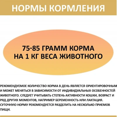 Родные корма 0,41кг с говядиной и морковкой кусочки в соусе по-ленинградски консервы для кошек (043955) фото