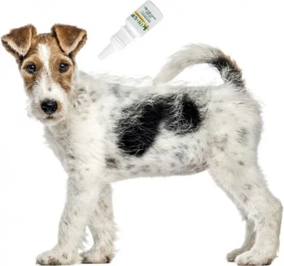 ИН-Ап комплекс капли 5мл от блох и глистов 30-50кг для собак (ЛИЦЕНЗИЯ) фото