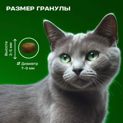 Wellement 1,5кг с индейкой и уткой сухой для кошек (003843) фото Wellement 1,5кг с индейкой и уткой сухой для кошек (003843) фото