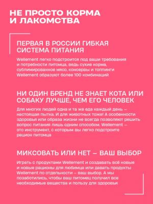 Wellement 0,08кг Ягненок жидкий топпинг для кошек фото