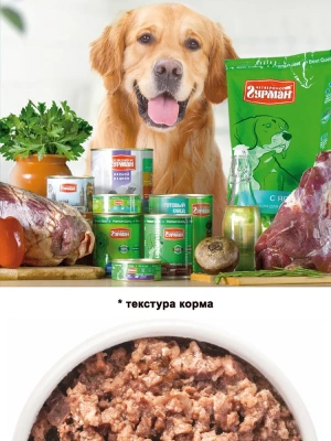 Четвероногий гурман 0,1кг Мясное ассорти с перепелкой консервы для собак фото Четвероногий гурман 0,1кг Мясное ассорти с перепелкой консервы для собак фото
