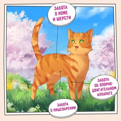 ZILLII (Зилли) Cat Skin & Coat Carel 10кг индейка и ягненок сухой для кошек, здоровье кожи и шерсти (352291) фото