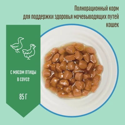 Деревенские лакомства 0,085кг здоровье мочевыводящих путей с птицей пауч для кошек (70063118) фото