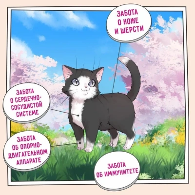 ZILLII (Зилли) Kitten 10кг индейка и ягненок сухой для котят (350624) фото