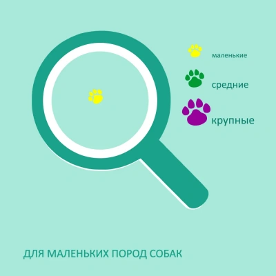 Бифф (Biff) жевательный снек Dent 0,063кг для чистки зубов со вкусом говядины для мелких собак (9 шт) фото