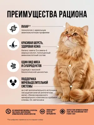 Bowl Wow 0,085кг курица и овощи в кусочки в желе для стерилизованных кошек (665076) фото