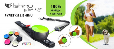Рулетка-поводок (Lishinu) 1, Банджи, Зеленый фото