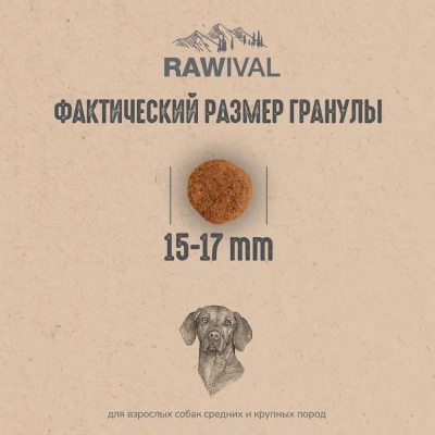 RAWIVAL North Sea’s Finest лосось и сельдь для взрослых собак средних и крупных пород, 10 кг фото RAWIVAL North Sea’s Finest лосось и сельдь для взрослых собак средних и крупных пород, 10 кг фото