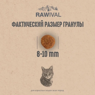 RAWIVAL Finest from the Sky утка и индейка для взрослых кошек, 0,4 кг фото RAWIVAL Finest from the Sky утка и индейка для взрослых кошек, 0,4 кг фото