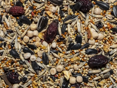 Вака 0,9кг ЛЮКС корм для средних попугаев фото