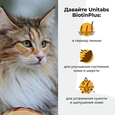 Unitabs 0,12л витаминная паста BiotinPlus с биотином и таурином для шерсти кошек фото